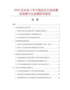 2026及未來5年中國雙孔石英鹵素加熱管行業發展研究報告