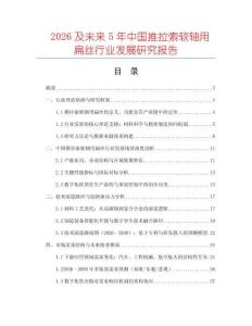 2026及未來5年中國推拉索軟軸用扁絲行業發展研究報告