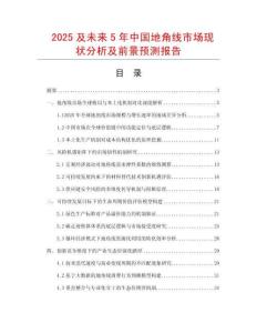 2025及未來5年中國地角線市場現狀分析及前景預測報告