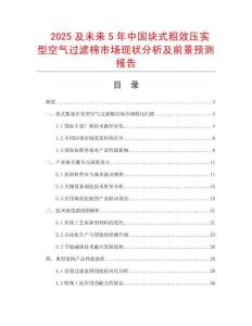 2025及未來5年中國塊式粗效壓實型空氣過濾棉市場現狀分析及前景預測報告