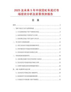 2025及未來5年中國霓虹車底燈市場現狀分析及前景預測報告