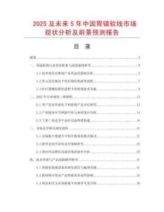 2025及未來5年中國胃鏡軟線市場現狀分析及前景預測報告