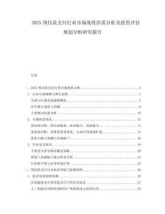 2025預(yù)付款支付行業(yè)市場(chǎng)現(xiàn)狀供需分析及投資評(píng)估規(guī)劃分析研究報(bào)告