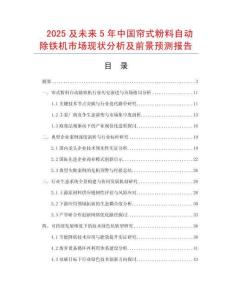 2025及未來5年中國簾式粉料自動除鐵機市場現狀分析及前景預測報告