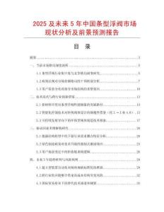 2025及未來5年中國條型浮閥市場現(xiàn)狀分析及前景預(yù)測報告