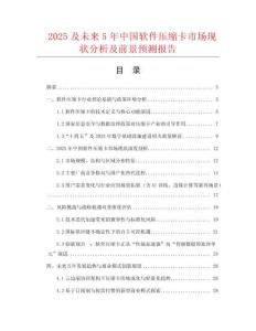 2025及未來5年中國軟件壓縮卡市場現(xiàn)狀分析及前景預(yù)測報告