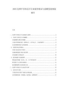 2025先鋒半導體芯片行業競爭格局與前瞻發展規劃報告