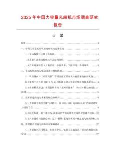 2025年中國大容量光端機市場調查研究報告
