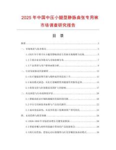 2025年中國中壓小腿型靜脈曲張專用襪市場調查研究報告