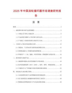 2025年中國渦輪循環器市場調查研究報告