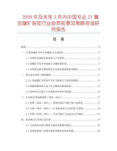 2026年及未來5年內中國專業21簧加鍵擴音笙行業投資前景及策略咨詢研究報告