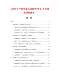 2025年中國電接點液位計(電極)市場調(diào)查研究報告