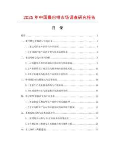 2025年中國桑巴哨市場調查研究報告