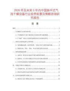 2026年及未來5年內中國脈沖式氣流干燥設備行業投資前景及策略咨詢研究報告
