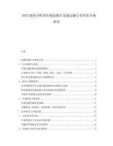2025現狀分析評估規劃報告交通運輸行業供需市場研究