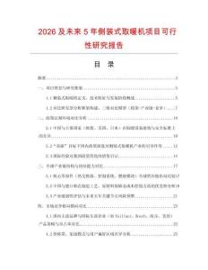 2026及未來5年側(cè)裝式取暖機項目可行性研究報告