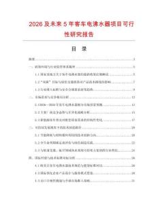 2026及未來5年客車電沸水器項目可行性研究報告