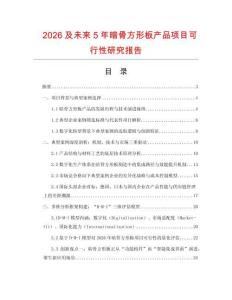 2026及未來5年暗骨方形板產品項目可行性研究報告