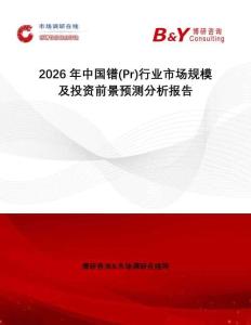 2026年中國鐠(Pr)行業市場規模及投資前景預測分析報告
