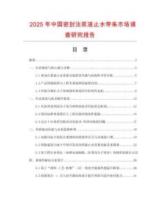 2025年中國密封注漿液止水帶條市場調查研究報告