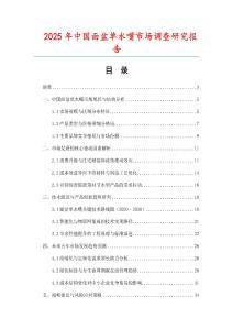 2025年中國面盆單水嘴市場調查研究報告