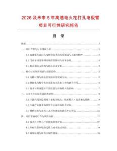 2026及未來5年高速電火花打孔電極管項目可行性研究報告