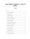 2026中國蛭石礦功能材料開發與投資機會研究