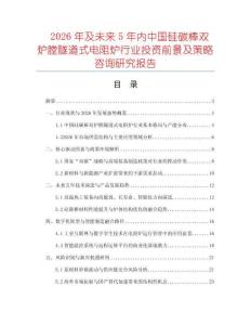 2026年及未來5年內中國硅碳棒雙爐膛隧道式電阻爐行業投資前景及策略咨詢研究報告