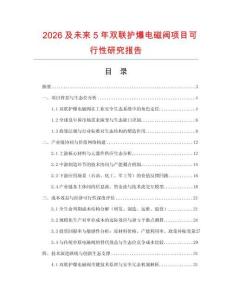 2026及未來5年雙聯護爆電磁閥項目可行性研究報告