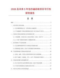 2026及未來5年包芯縫紉線項目可行性研究報告