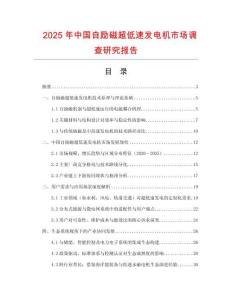 2025年中國自勵磁超低速發電機市場調查研究報告