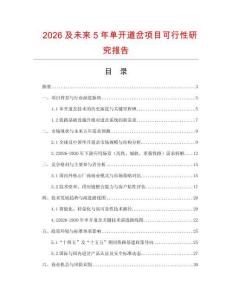 2026及未來5年單開道岔項目可行性研究報告