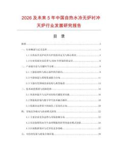 2026及未來5年中國自熱水冷無爐襯沖天爐行業發展研究報告