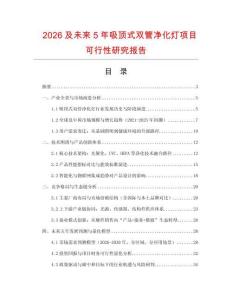 2026及未來5年吸頂式雙管凈化燈項目可行性研究報告