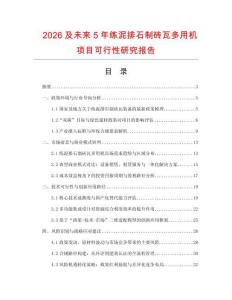 2026及未來5年練泥排石制磚瓦多用機項目可行性研究報告
