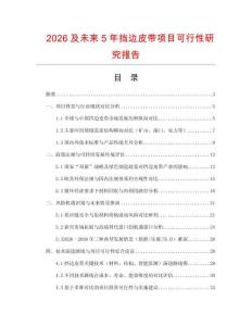 2026及未來5年擋邊皮帶項目可行性研究報告
