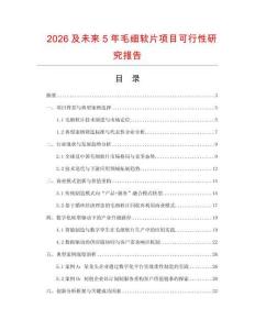 2026及未來5年毛細(xì)軟片項(xiàng)目可行性研究報(bào)告