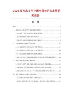 2026及未來5年中國電瓶栓行業發展研究報告