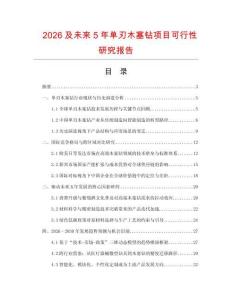 2026及未來5年單刃木塞鉆項目可行性研究報告