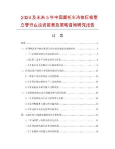 2026及未來5年中國摩托車冷擠壓錐型立管行業投資前景及策略咨詢研究報告