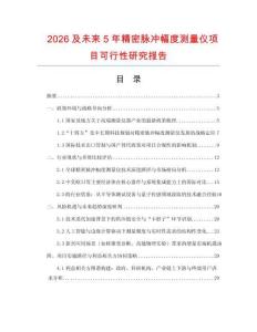 2026及未來5年精密脈沖幅度測量儀項目可行性研究報告