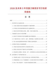 2026及未來5年雙面刀架項目可行性研究報告