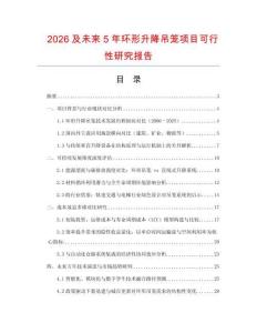 2026及未來5年環形升降吊籠項目可行性研究報告