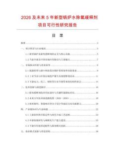 2026及未來5年新型鍋爐水除氧緩釋劑項目可行性研究報告
