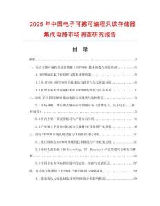 2025年中国电子可擦可编程只读存储器集成电路市场调查研究报告