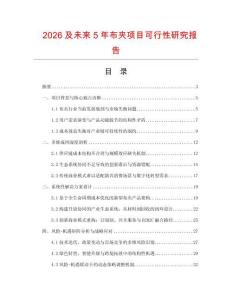 2026及未來5年布夾項目可行性研究報告