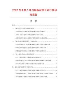 2026及未來5年白麻板材項目可行性研究報告