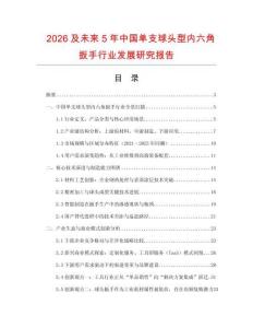 2026及未來5年中國單支球頭型內六角扳手行業發展研究報告