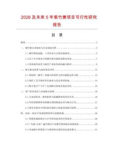 2026及未來5年紫竹簫項目可行性研究報告