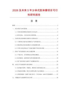 2026及未來5年分體式膠體磨項目可行性研究報告